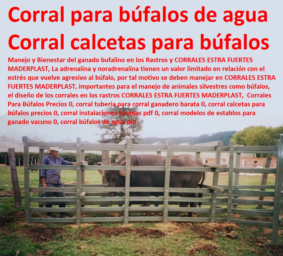 Corrales Para Búfalos Precios 0, corral tuberia para corral ganadero barata 0, corral calcetas para búfalos precios 0, corral instalaciones bovinas pdf 0, Mangas De Coleo, Corral Caballerizas, Pesebreras De Caballos, Plaza Toros, Brete Ganadero, Apretaderos Embarcaderos, Postes Tablas, Polines Varetas, Horcones Madera Plástica, Corrales, Establos De Ganado, corral modelos de establos para ganado vacuno 0, corral búfalos de agua pdf Corrales Para Búfalos Precios 0, corral tuberia para corral ganadero barata 0, corral calcetas para búfalos precios 0, corral instalaciones bovinas pdf 0, corral modelos de establos para ganado vacuno 0, corral búfalos de agua pdf